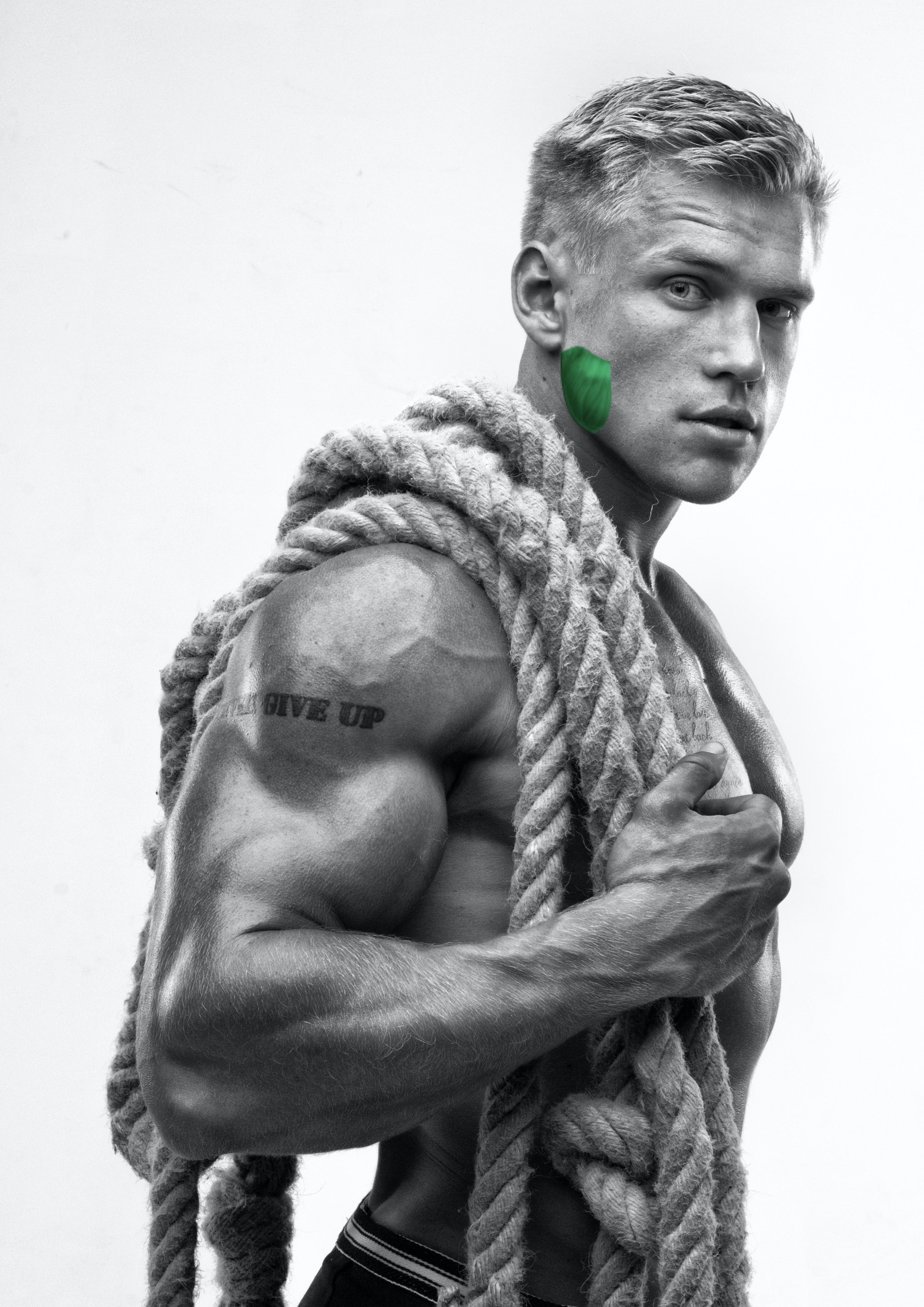 Adobestock 56871229 copy e567364f 1d98 4737 8a52 f47b97242dfc